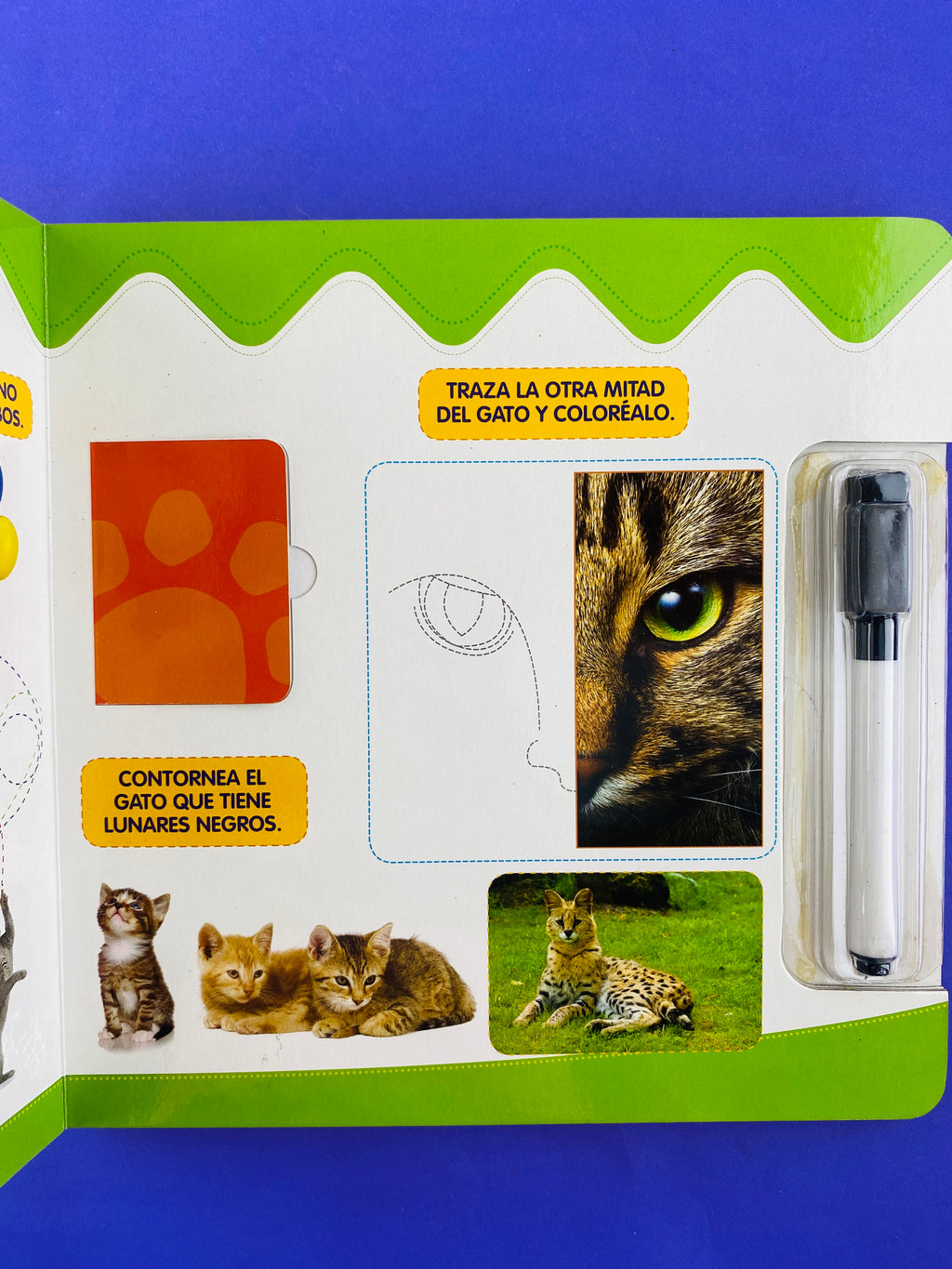 Dibujo y descubro animales by sin autor