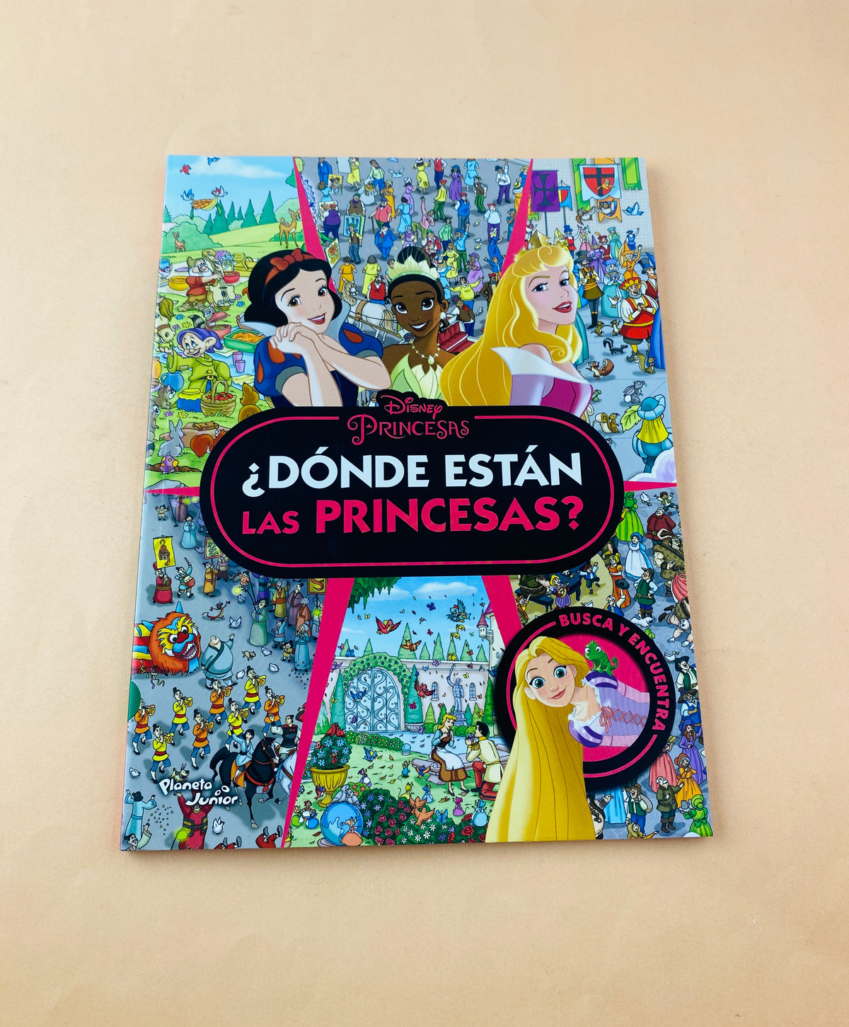 Princesas ¿Dónde están las princesas? by Varios