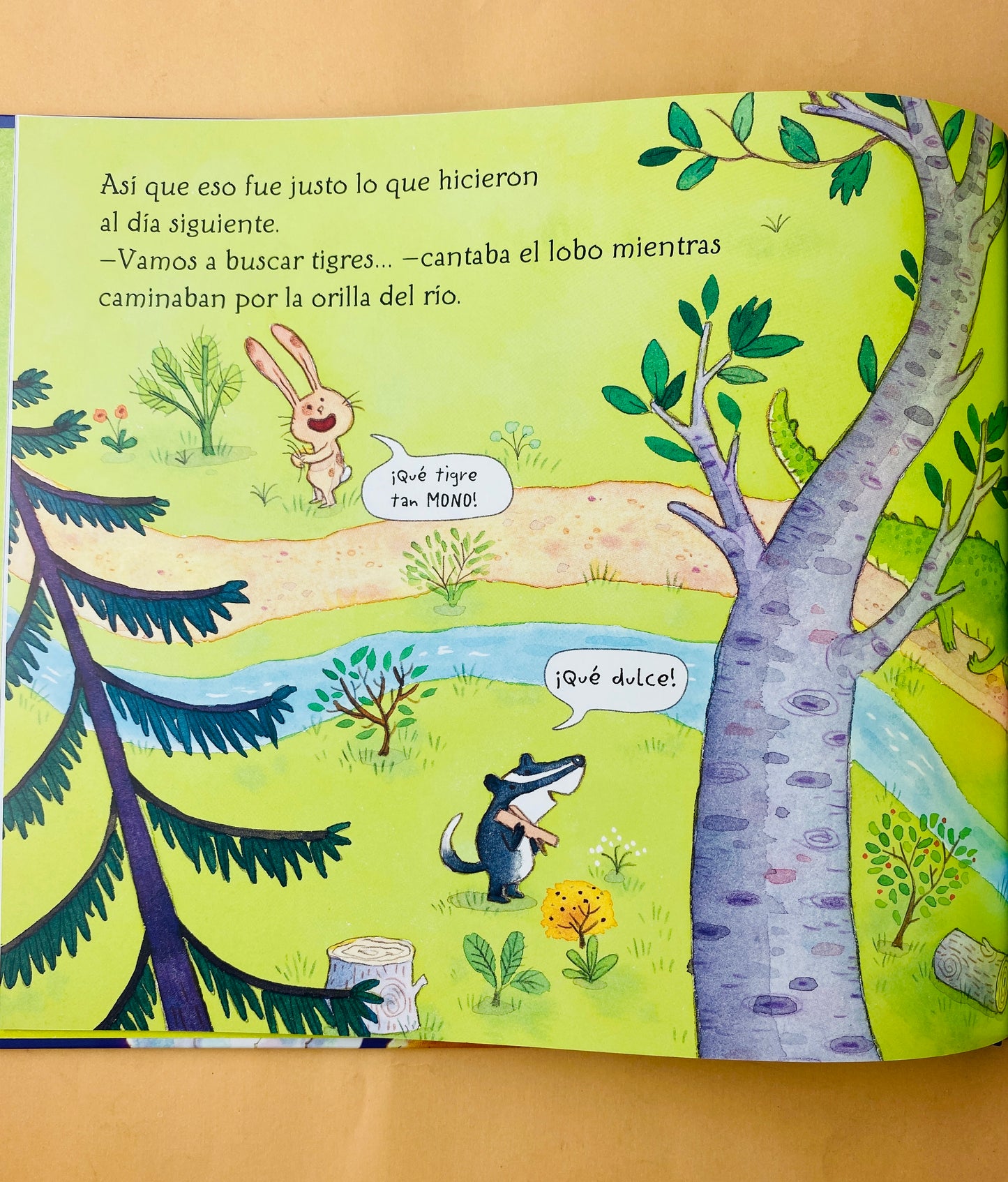 El tigre que vino a cenar by Joelle Dreidemy