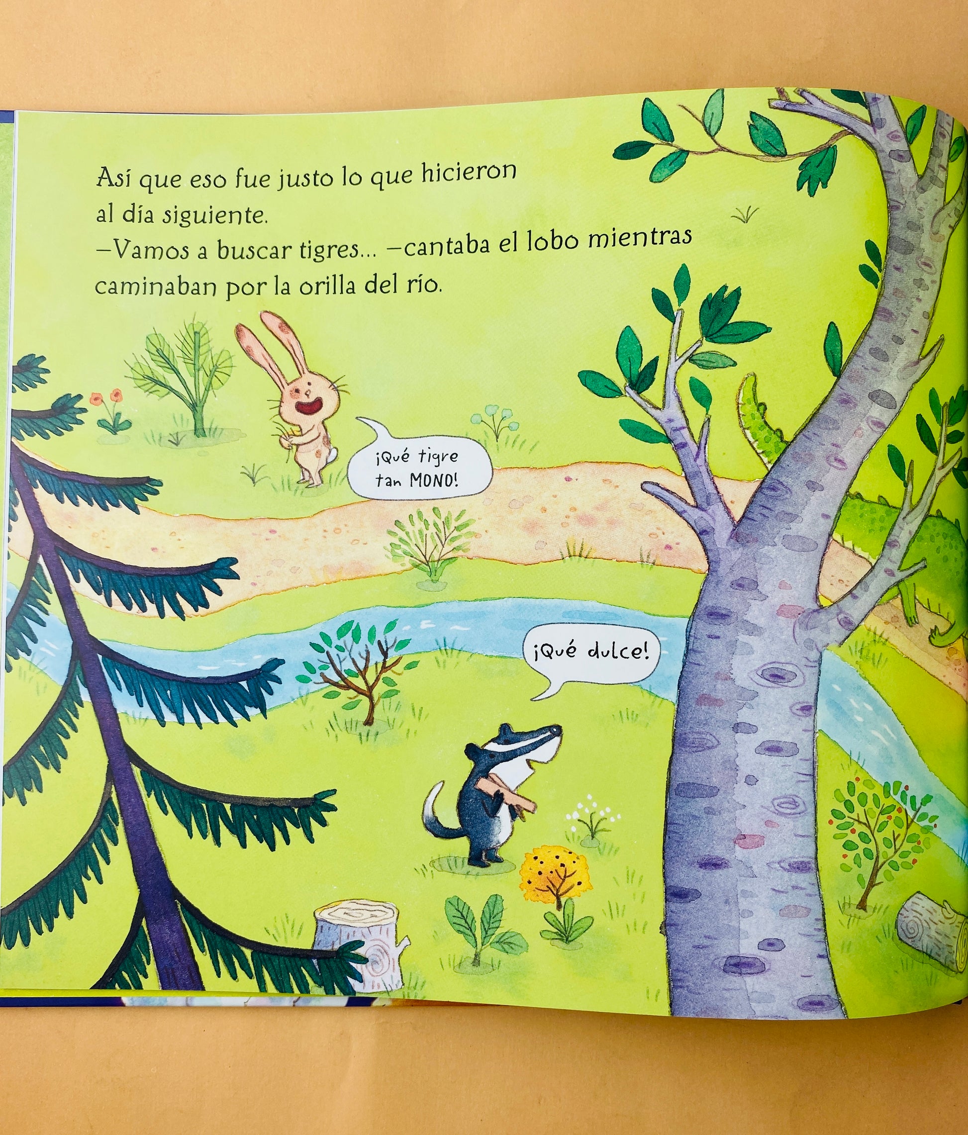 El tigre que vino a cenar by Joelle Dreidemy