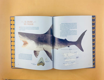 Tiburones un travesía submarina