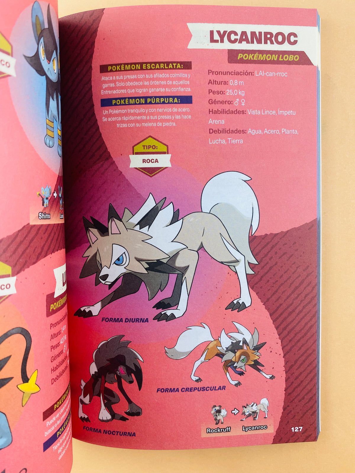 Pokémon guía definitiva de la región de paldea by sin autor