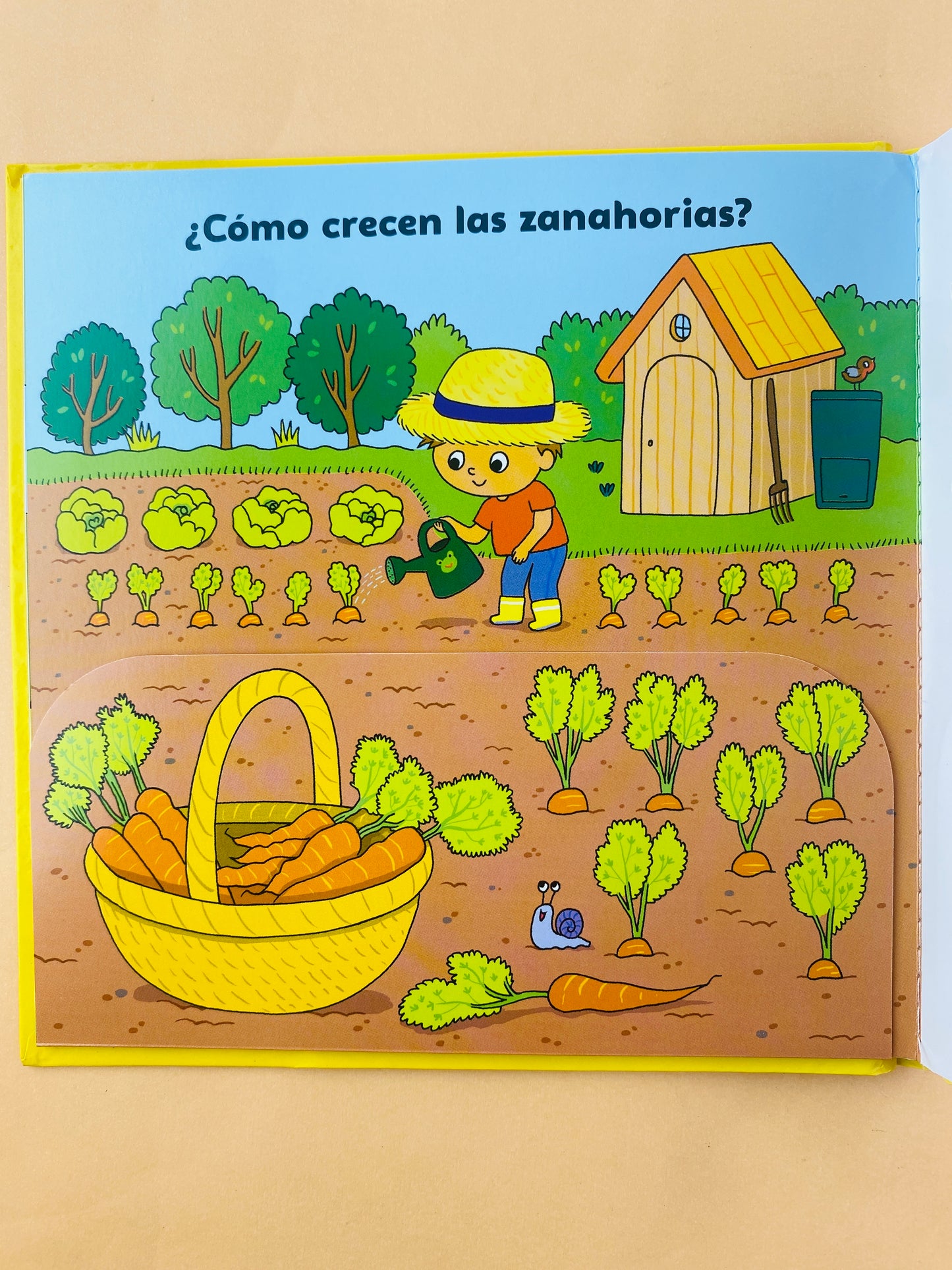 ¿Por qué los caracoles no tiene patas? y muchas otras preguntas sobre el jardín