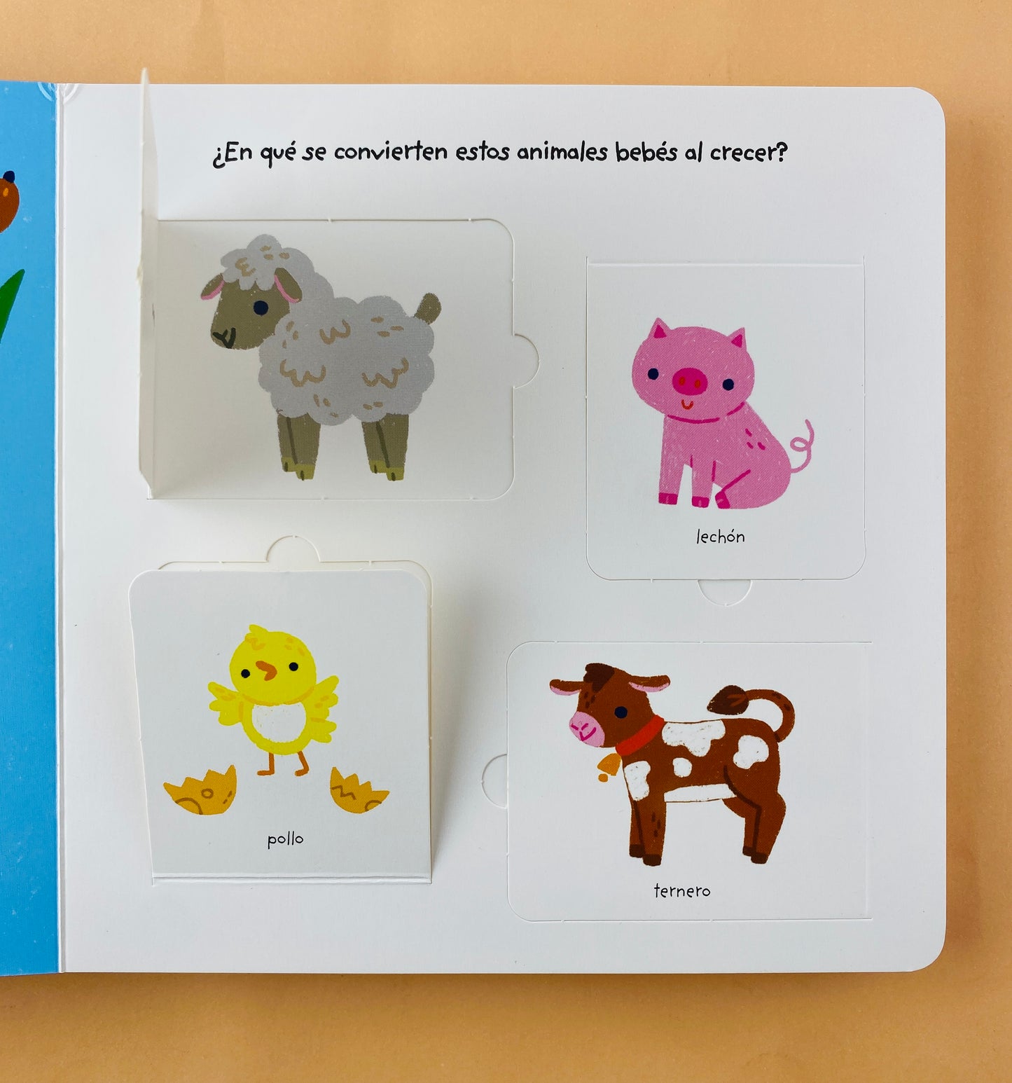 Mi pequeño mundo. ¡Mírame crecer!