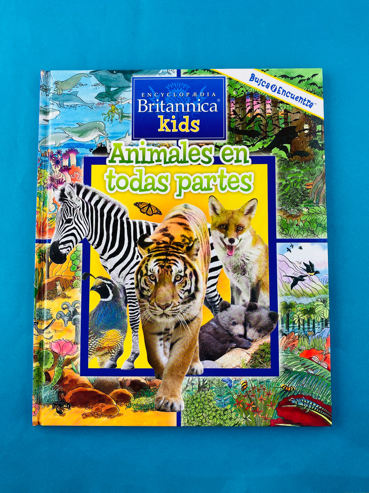 Animales en todas partes busca y encuentra by Sin autor