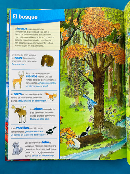 Animales en todas partes busca y encuentra