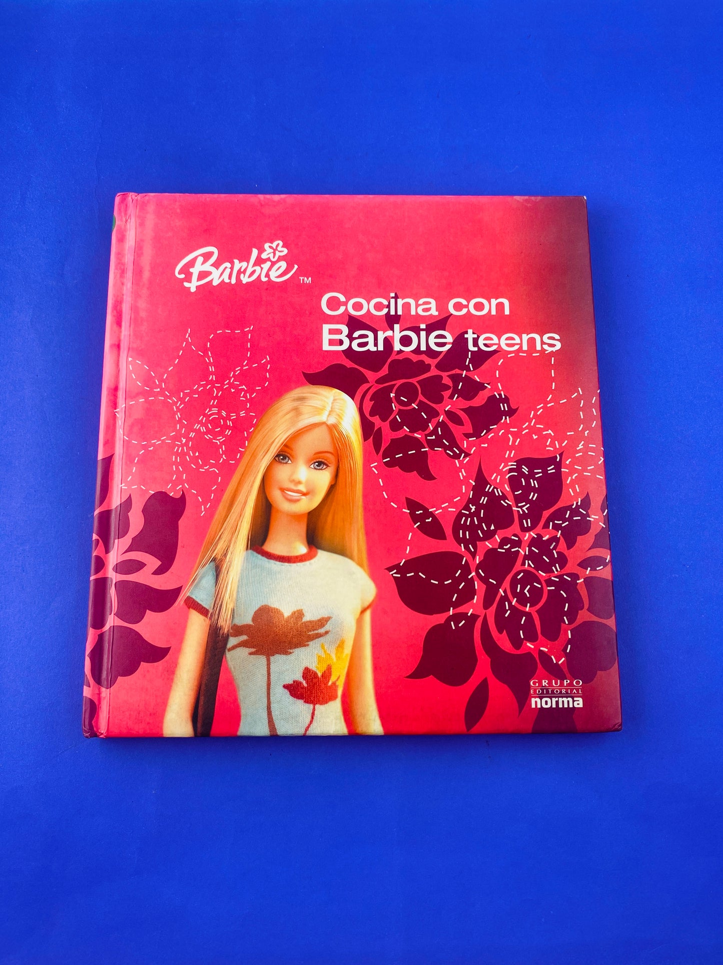 Cocina con Barbie teens