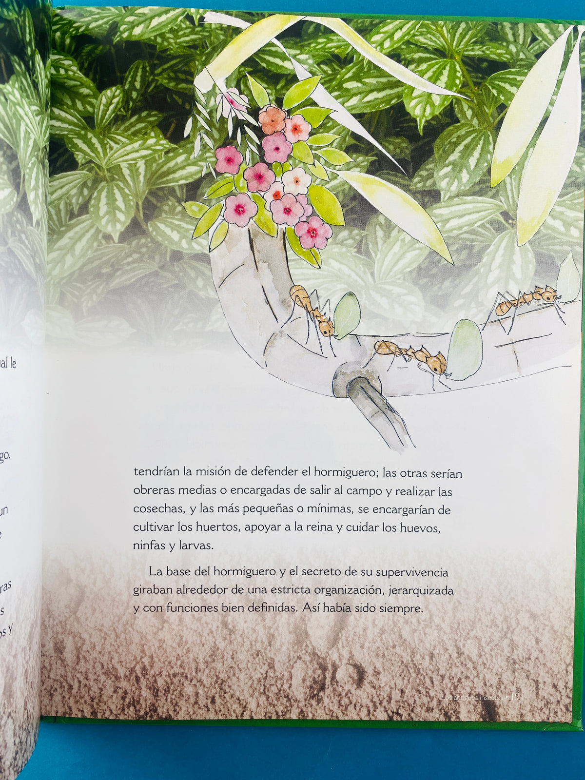 Los antiguos insectos los sobrevivientes a los dinosaurios by Alonso Restrepo Gómez