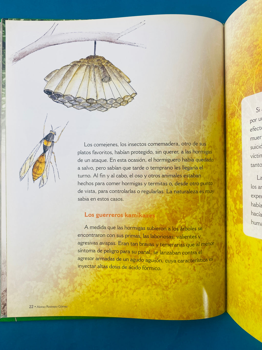 Los antiguos insectos los sobrevivientes a los dinosaurios by Alonso Restrepo Gómez