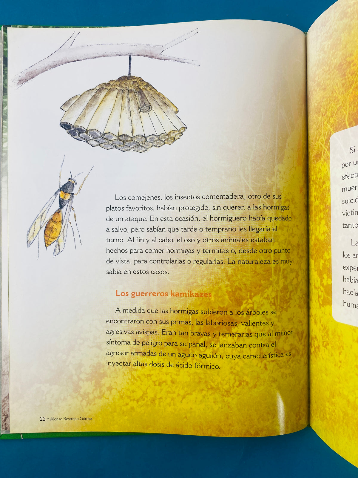 Los antiguos insectos los sobrevivientes a los dinosaurios by Alonso Restrepo Gómez