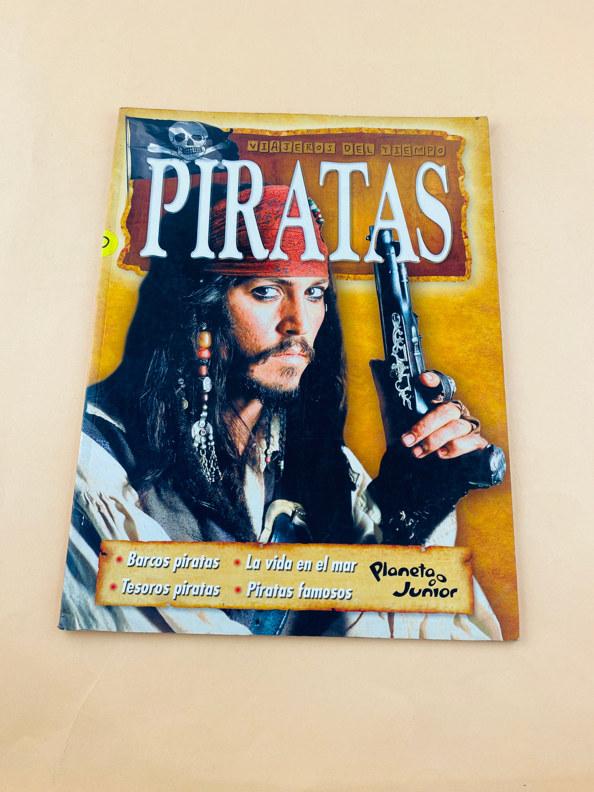 Viajeros del tiempo piratas by Brian Williams