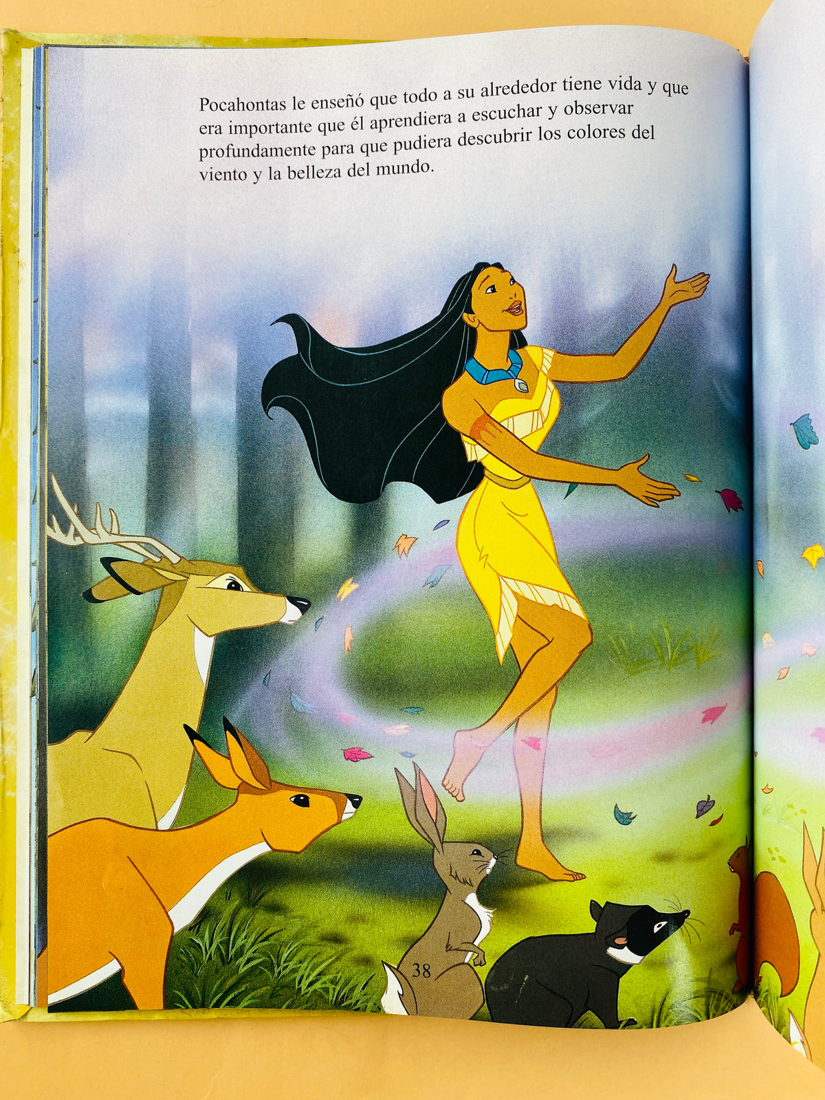 Pocahontas by Disney