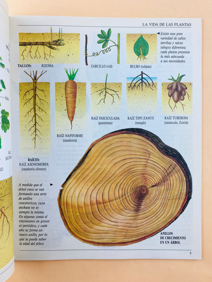 La vida de las plantas