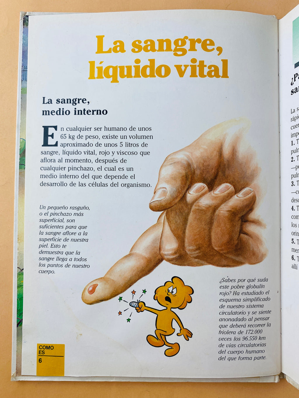 Érase una vez el cuerpo humano tomo 6 by Anónimo