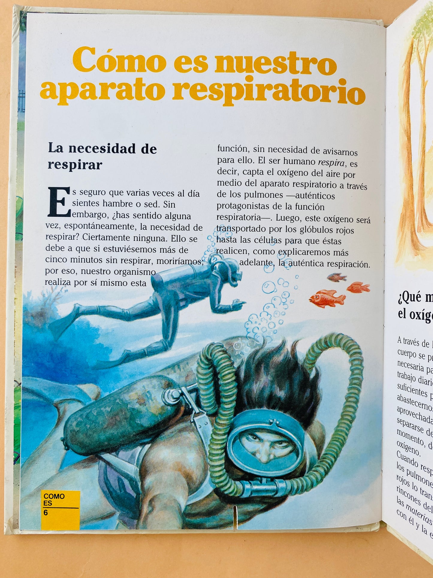 Érase una vez el cuerpo humano tomo 3