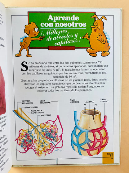 Érase una vez el cuerpo humano tomo 3