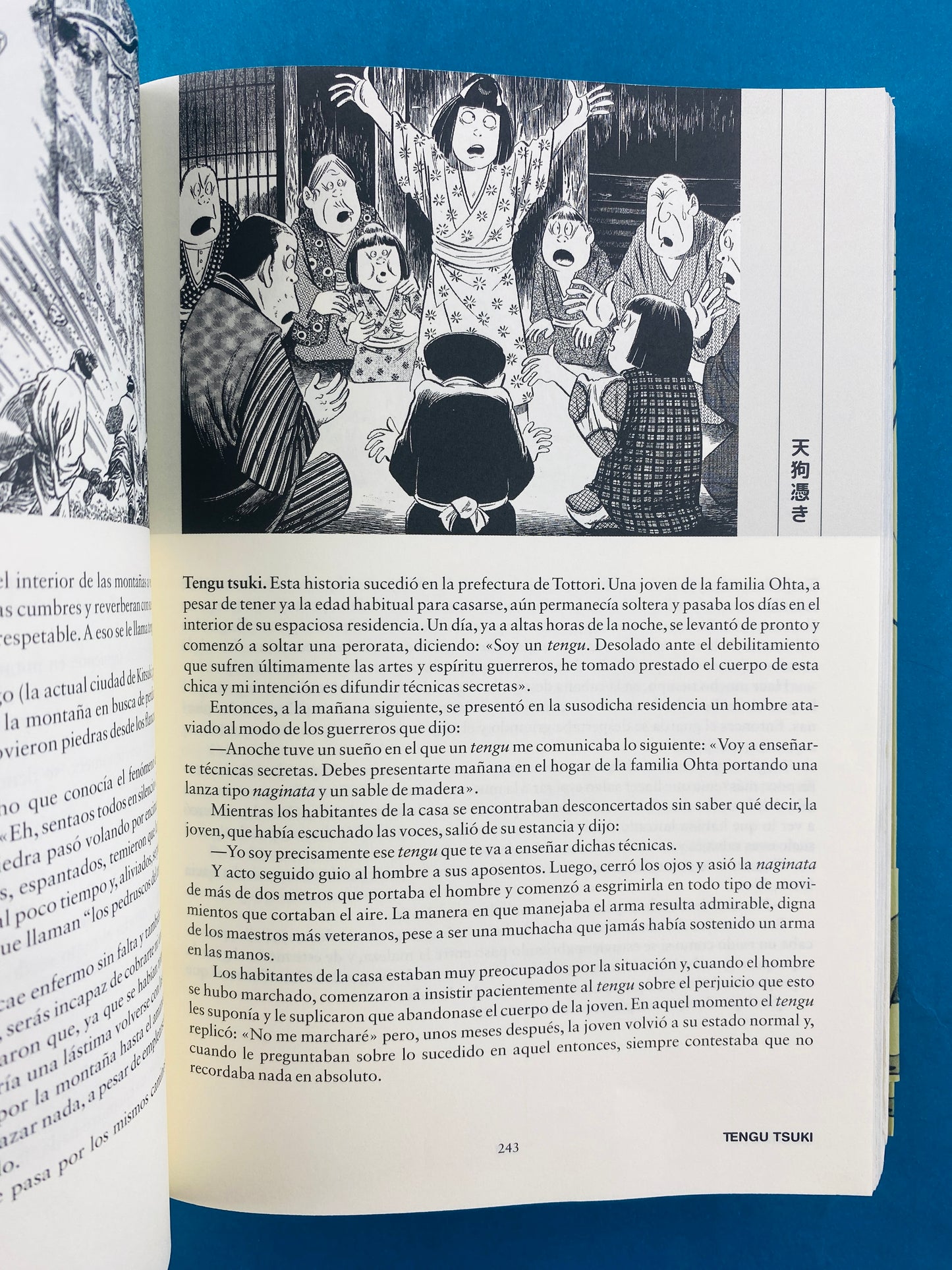 Enciclopedia Yokai 2 Tomos