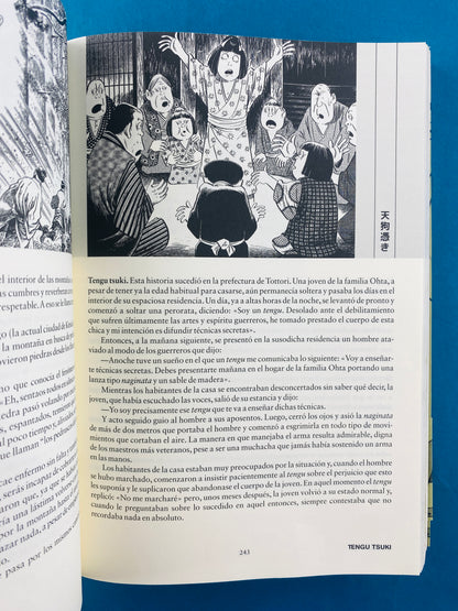 Enciclopedia Yokai 2 Tomos