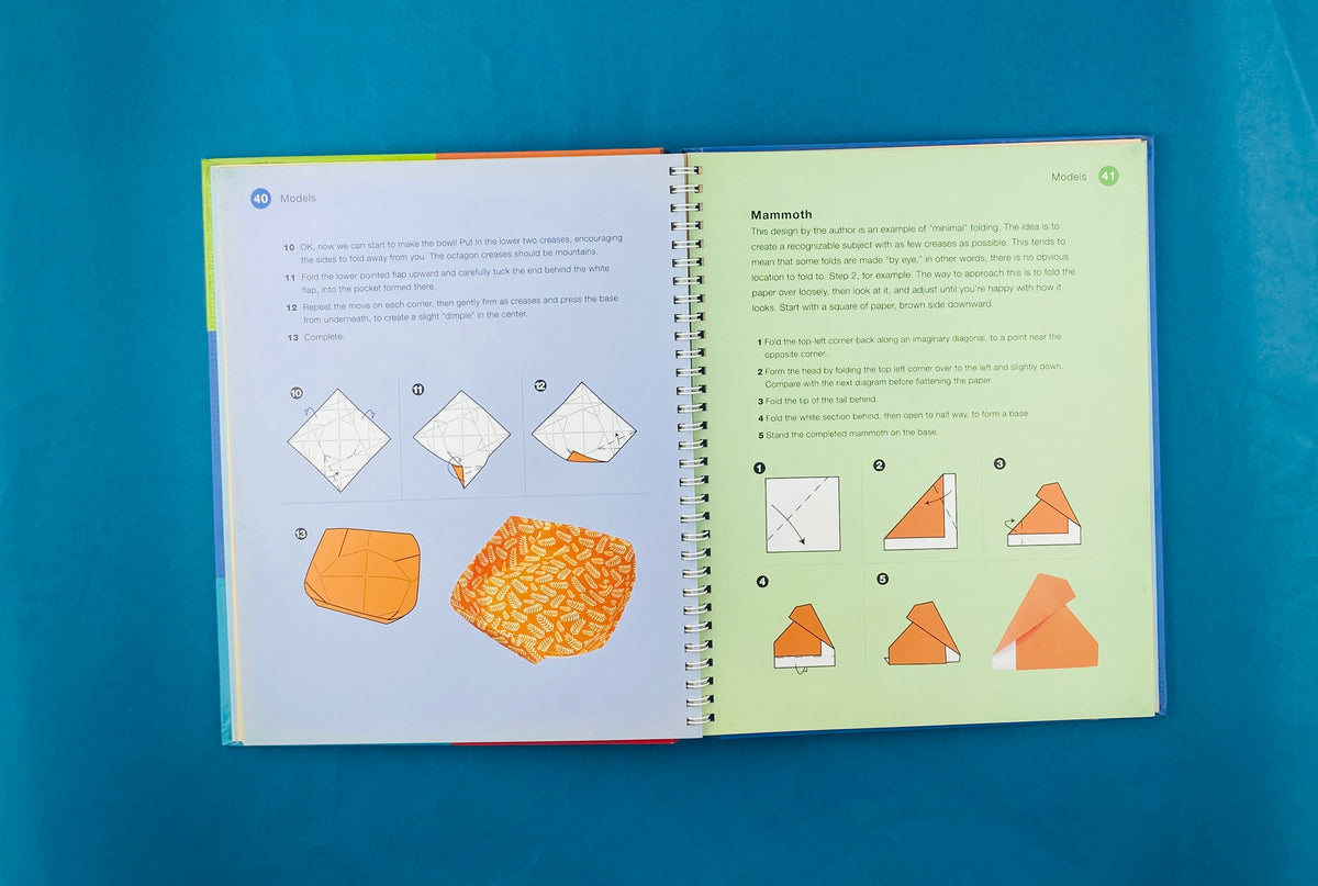 A beginner' s guide to origami by Nick Robinson
