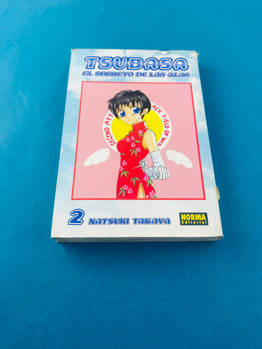 Tsubasa el secreto de las alas N.2 by Natsuki Takaya