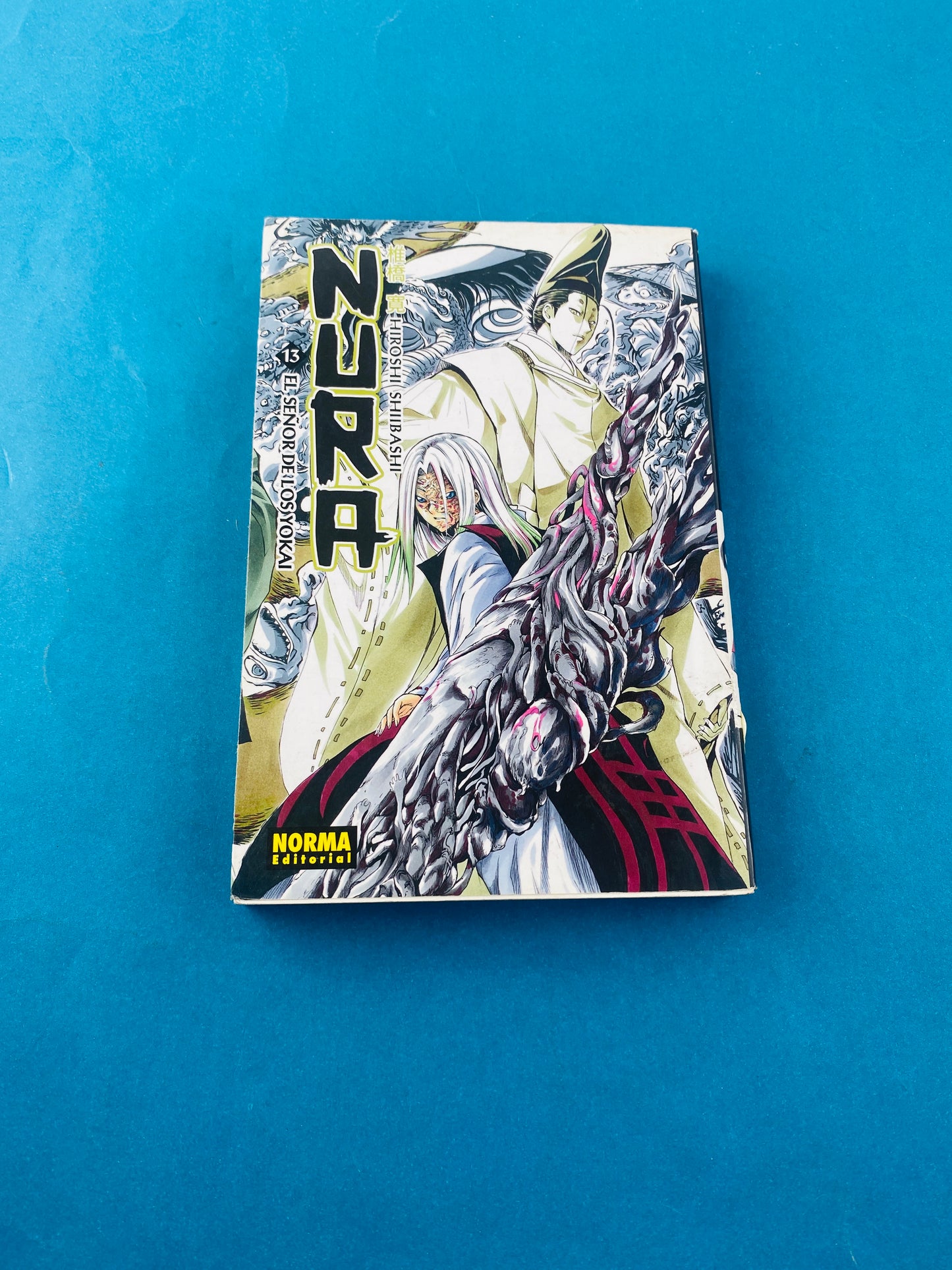 Nura el señor de los yokai N.13