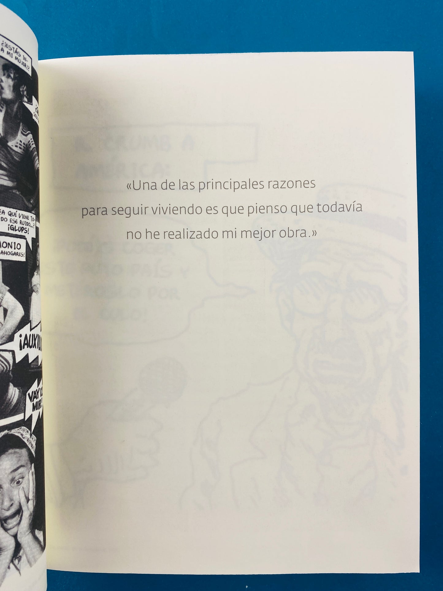 R crumb