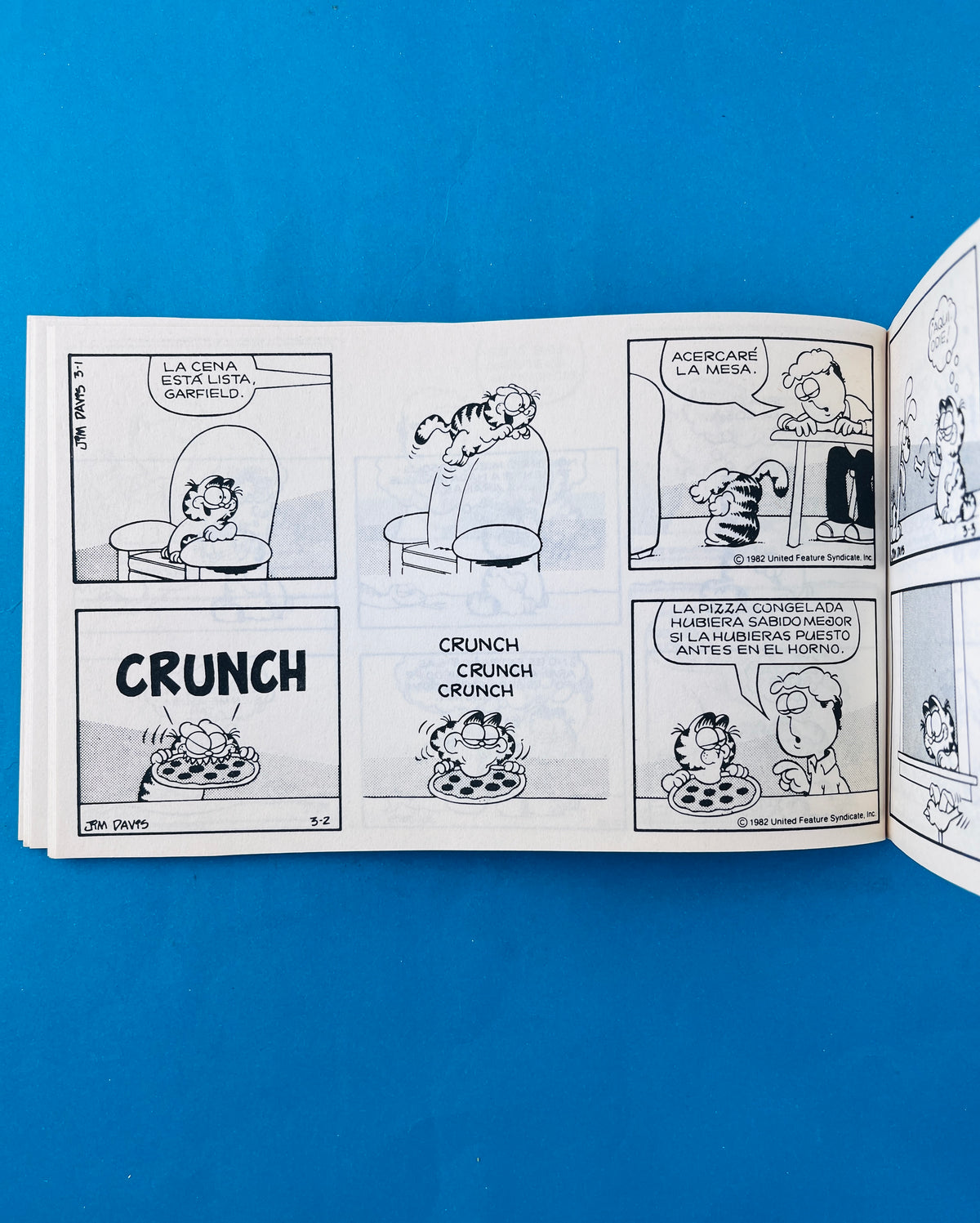 Garfield sale de casa 9 by Jim Davis