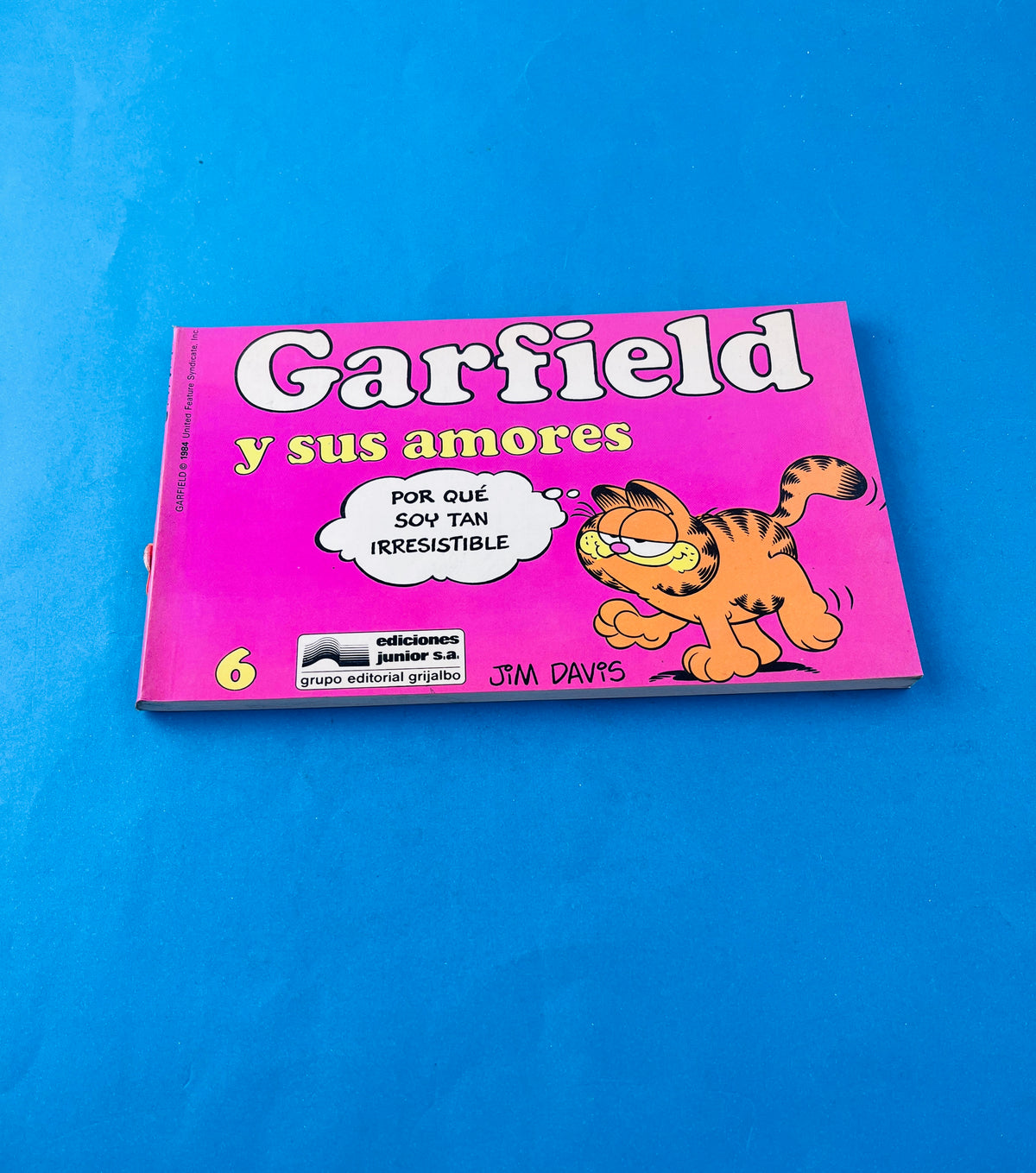 Garfield y sus amores 6 by Jim Davis