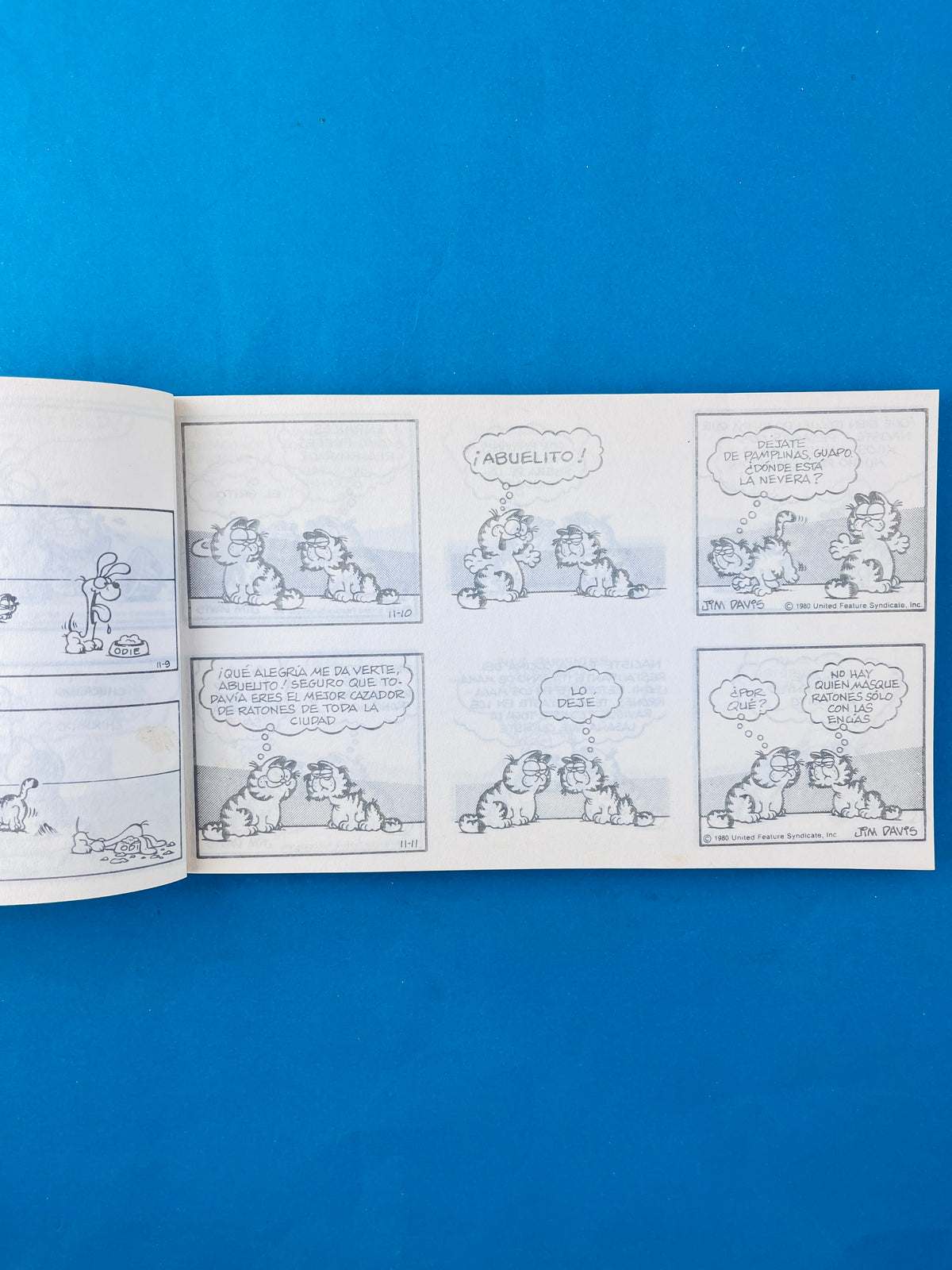 Garfield y sus amores 6 by Jim Davis