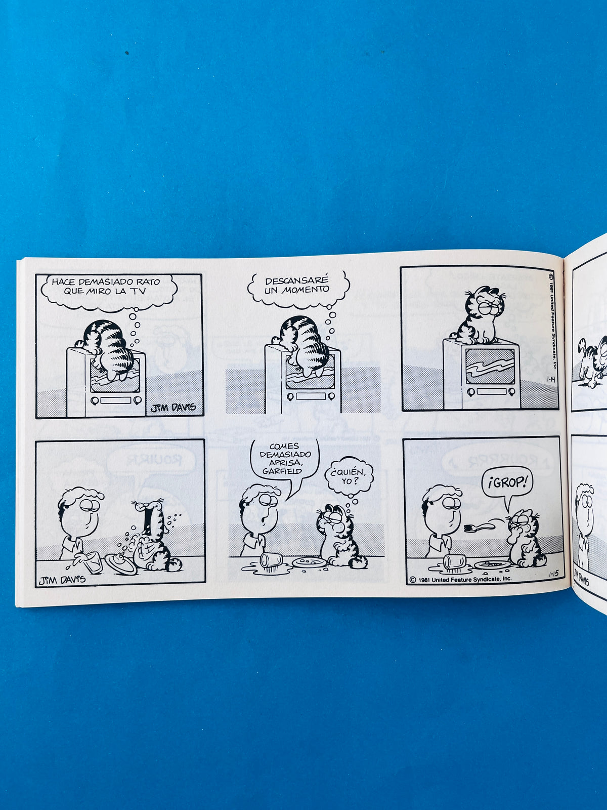 Garfield y sus amores 6 by Jim Davis