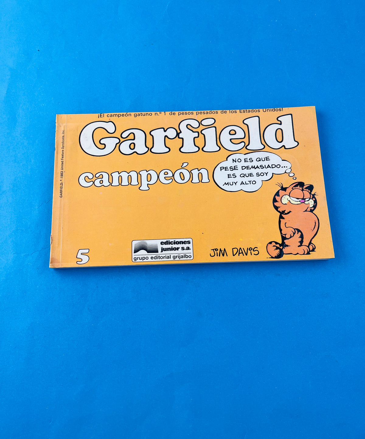 Garfield campeón 5 by Jim Davis