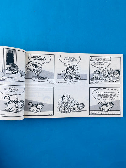 Garfield campeón 5