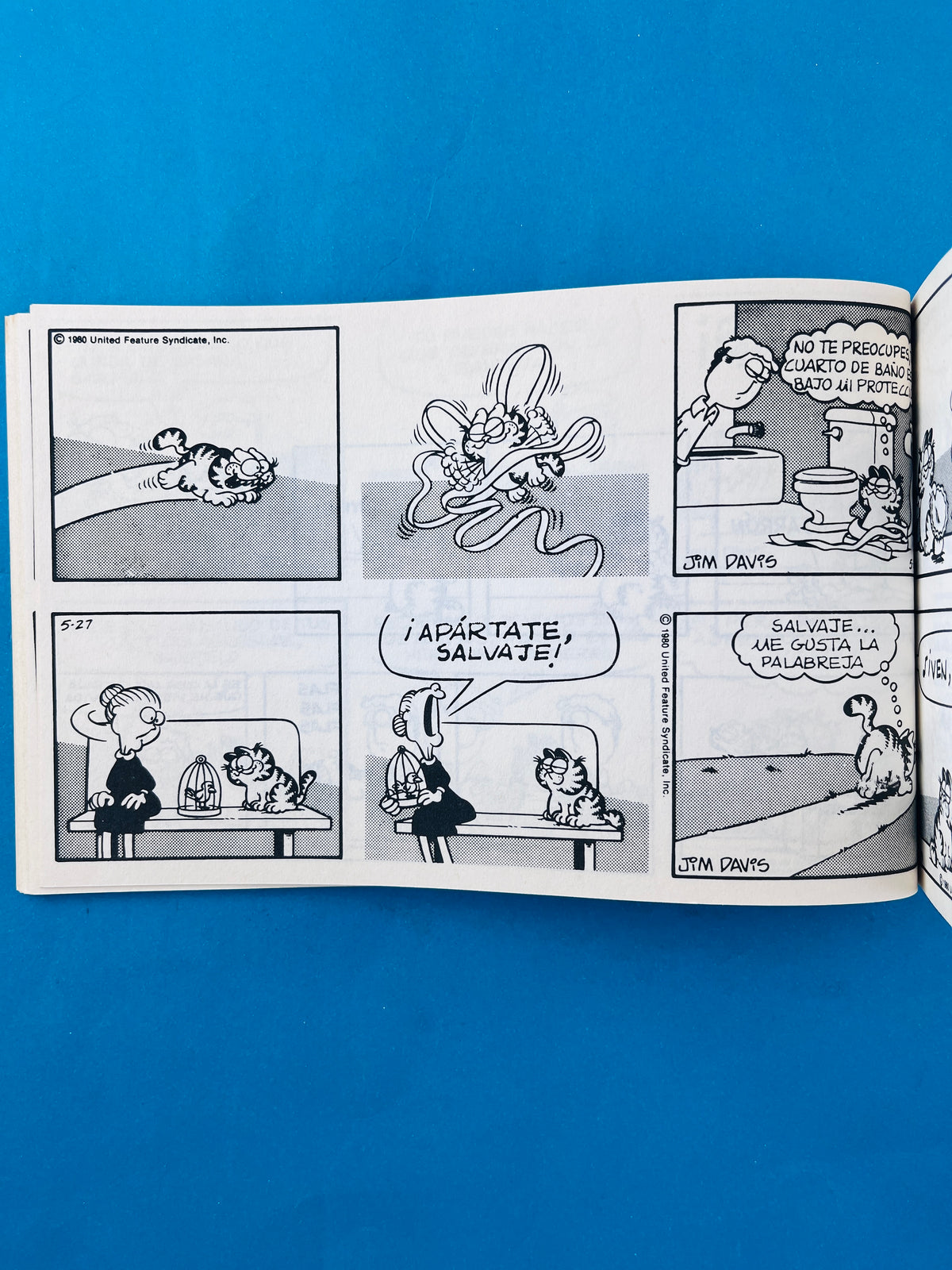 Garfield campeón 5 by Jim Davis