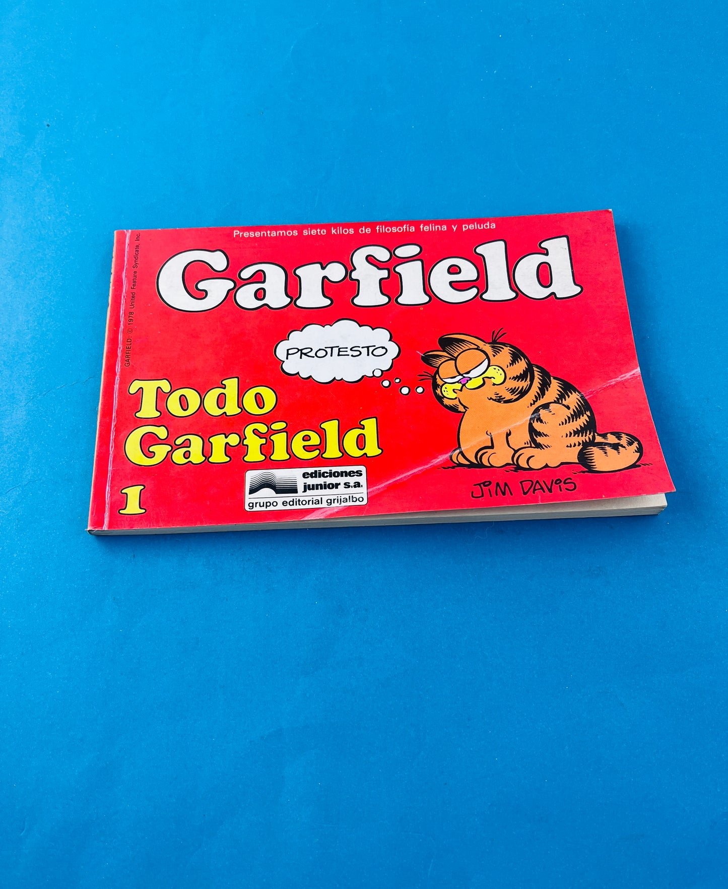 Garfield todo garfield 1