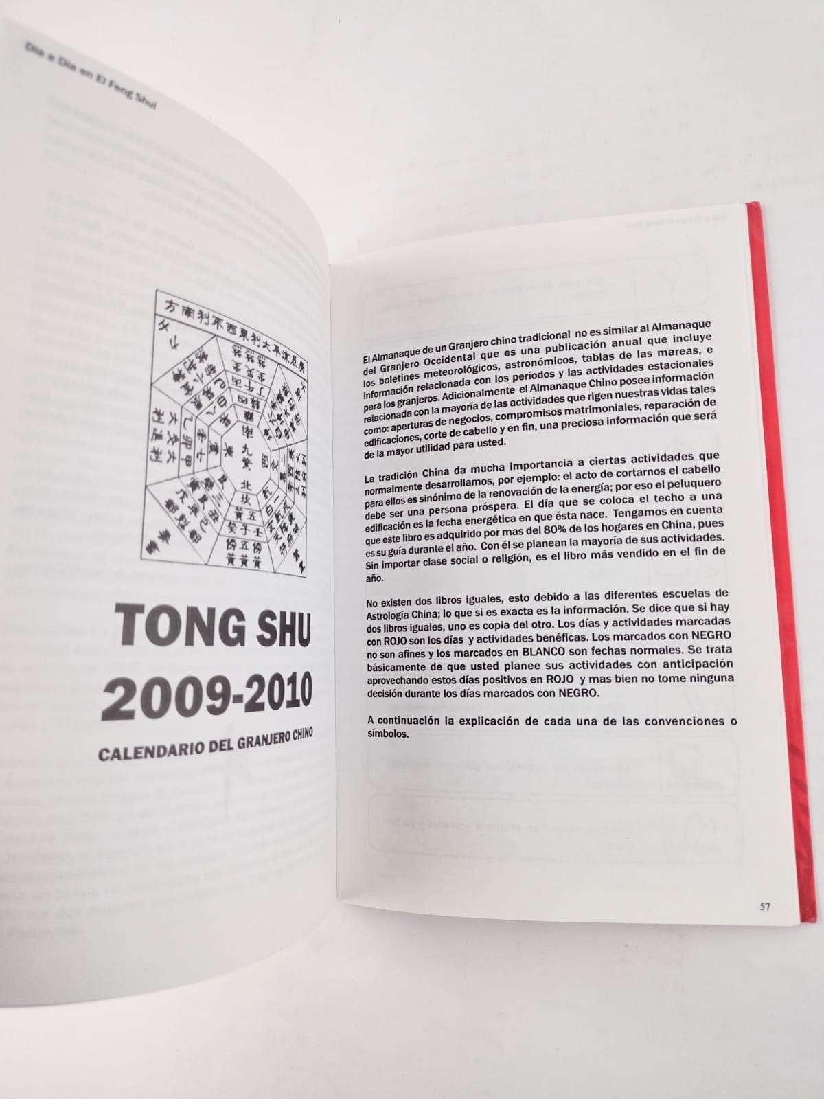 Día a Día en el Feng Shui 2009-2010