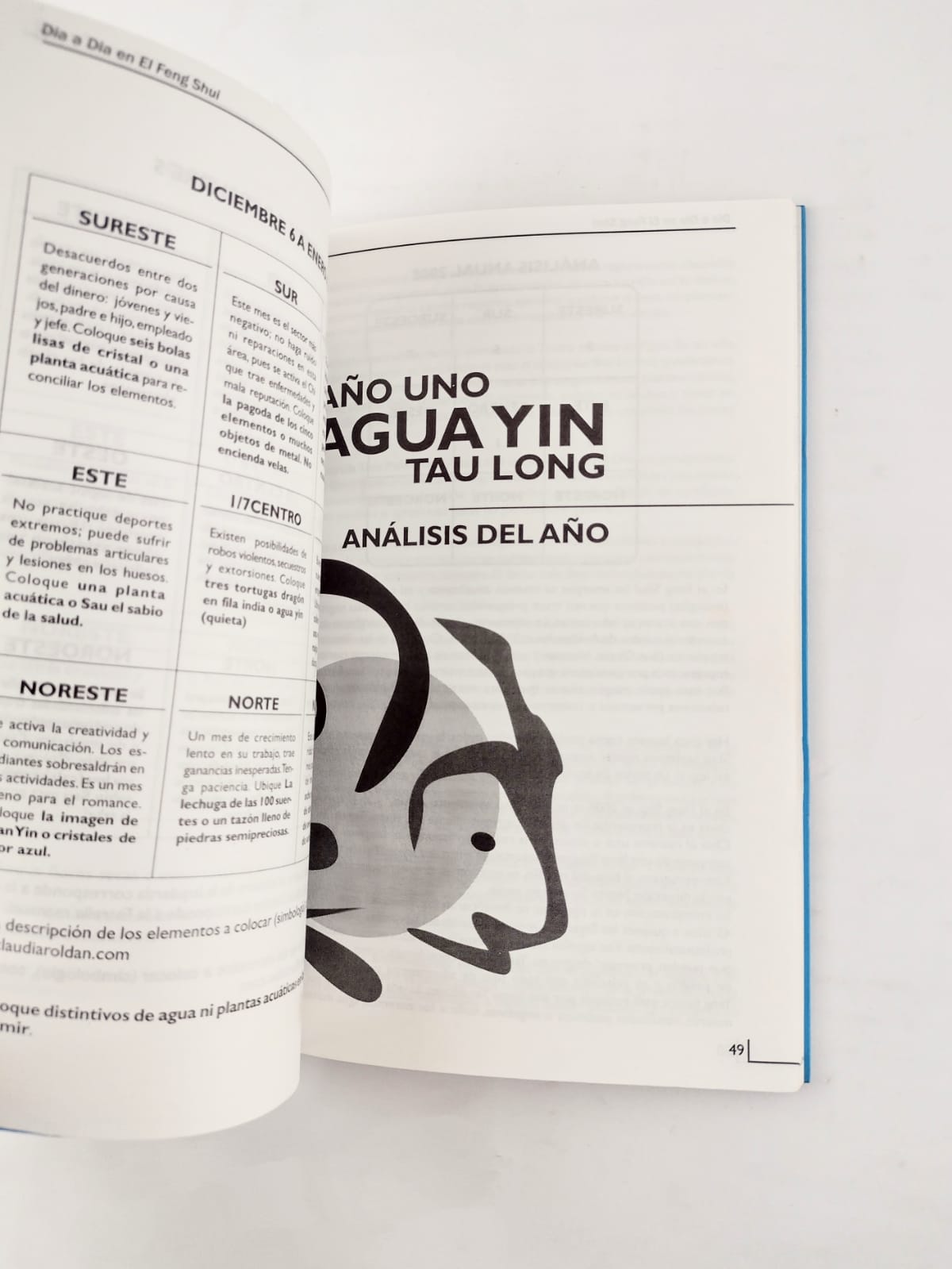 Día a día en el Feng Shui 2008-2009