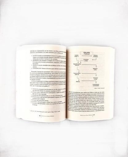 La didáctica de la lengua materna -estado de la discusión en Colombia-