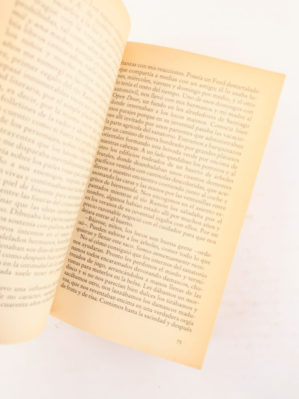Paula by Isabel Allende