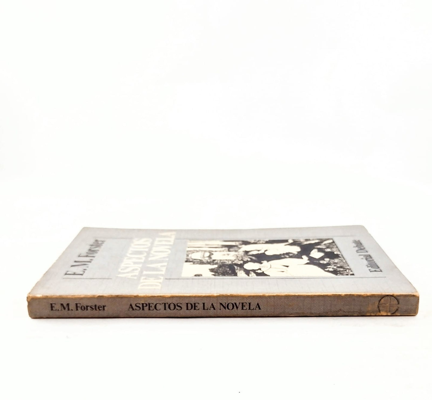 Aspectos de la novela