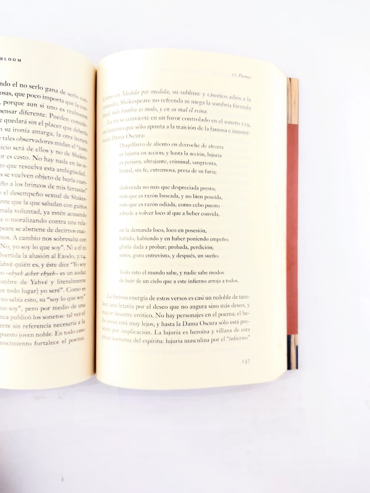 Cómo leer y por qué by Harold Bloom