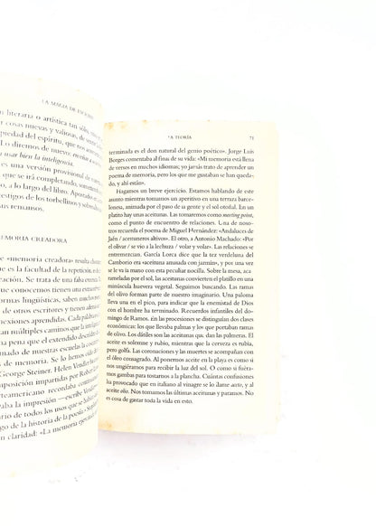 La magia de escribir