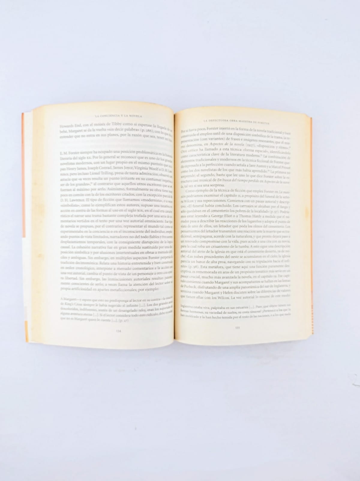 La conciencia y la novela