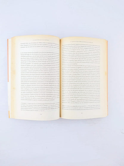 La conciencia y la novela