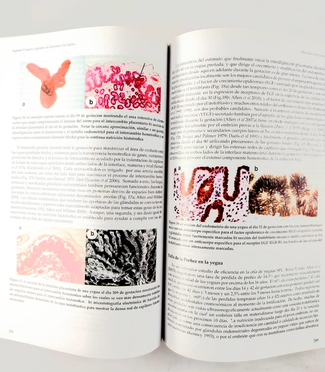 Reproducción equina II