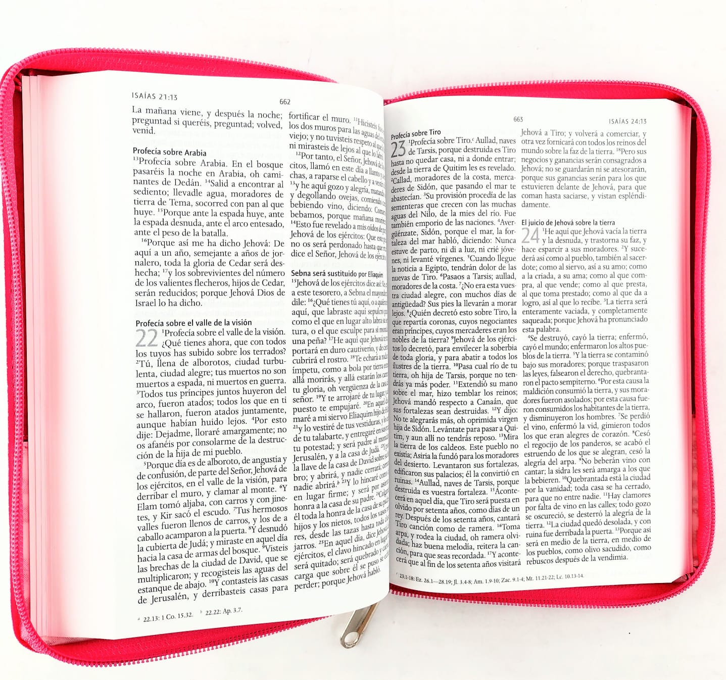 Biblia rvr 1960 letra grande estuche rosa-flores roja esquina by Reina Valera 1960
