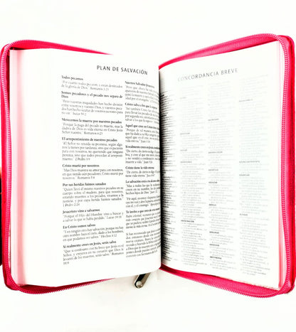 Biblia rvr 1960 letra grande estuche rosa-flores roja esquina by Reina Valera 1960