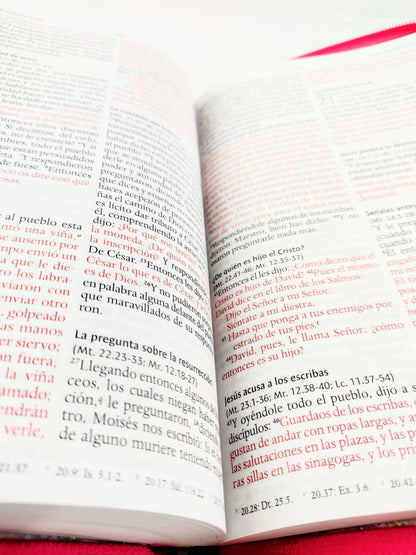 Biblia rvr 1960 letra grande estuche rosa-flores roja esquina by Reina Valera 1960
