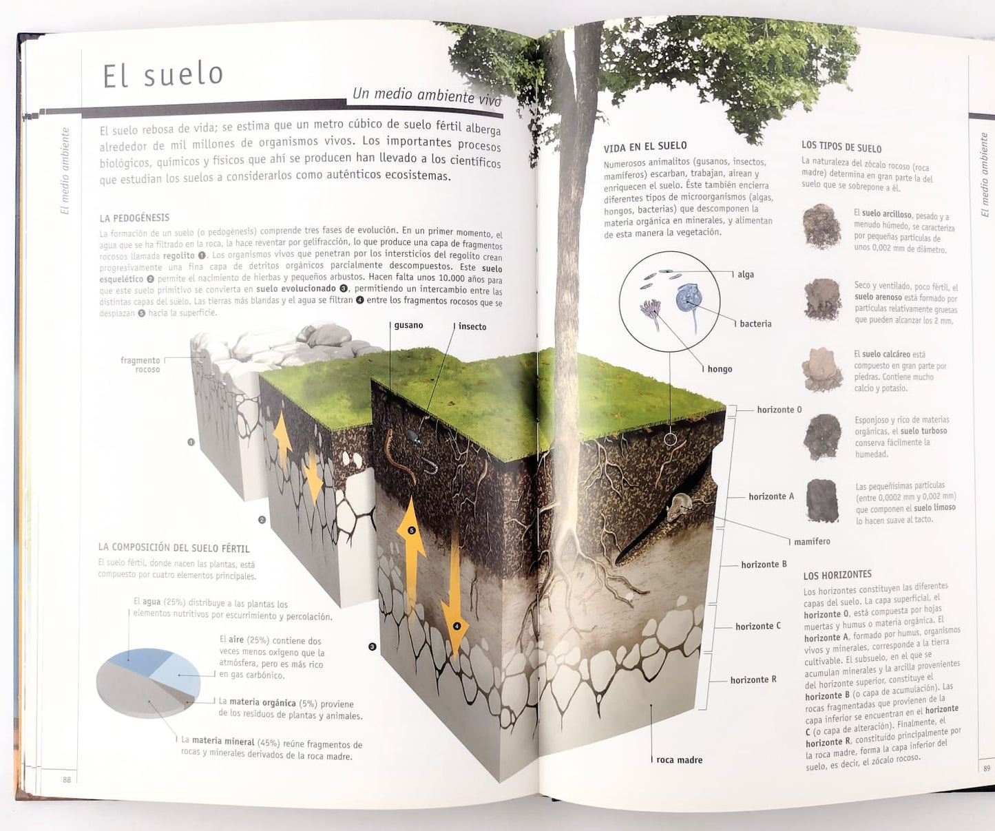 Para Comprender El Clima Y El Medio Ambiente by Jacques fortin