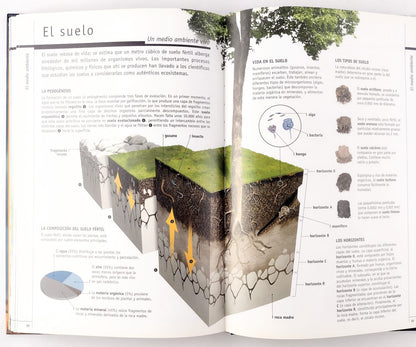 Para Comprender El Clima Y El Medio Ambiente by Jacques fortin