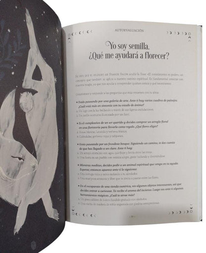 La rueda del año de la bruja by Federica Vanini